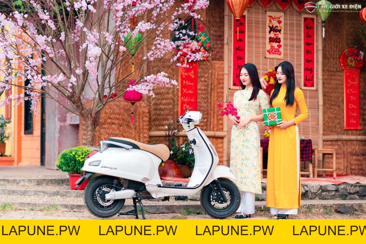 Xe Máy Điện Dibao Pansy Neo S4 - Xe điện Vivu