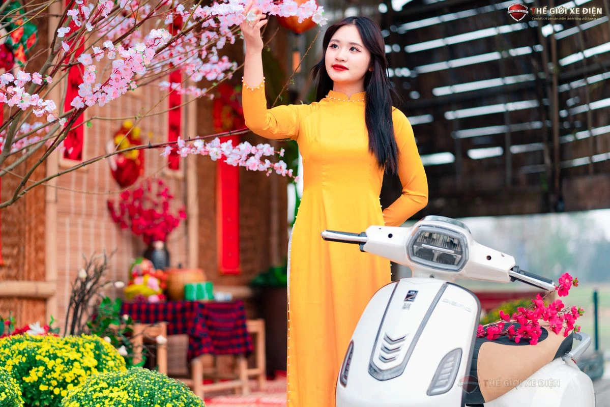 Xe Máy Điện Dibao Pansy Neo S4 - Xe điện Vivu