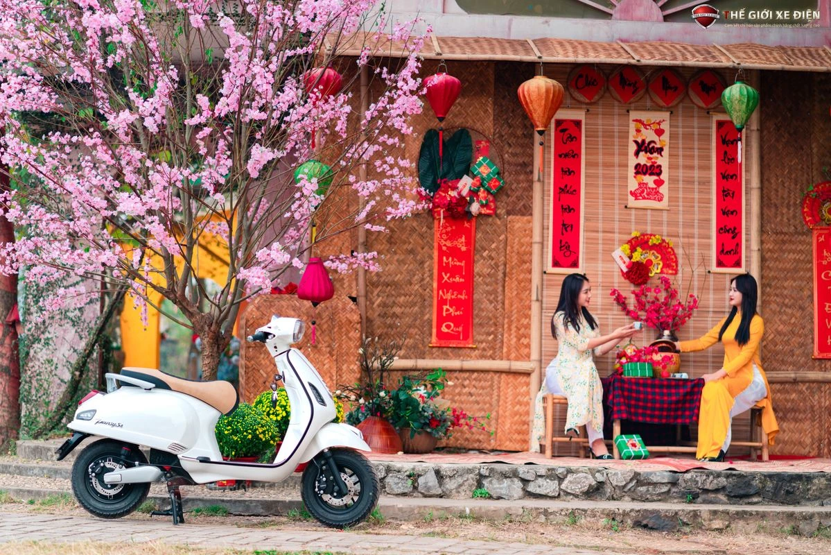 Xe Máy Điện Dibao Pansy Neo S4 - Xe điện Vivu