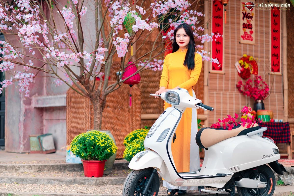 Xe Máy Điện Dibao Pansy Neo S4 - Xe điện Vivu
