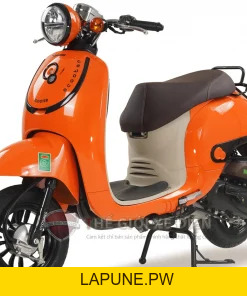 Xe Ga 50cc Dibao Creer Phanh Đĩa Chất Lượng Cao - Xe điện Vivu