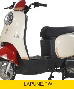 Xe đạp điện Dibao - Xe điện Vivu