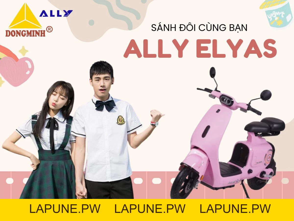 Xe Đạp Điện VC Elyas Ally - Đầy Đủ Giấy Tờ - Xe điện Vivu