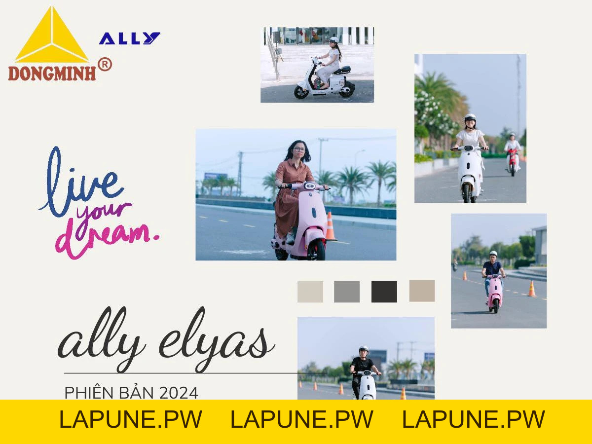 Xe Đạp Điện VC Elyas Ally - Đầy Đủ Giấy Tờ - Xe điện Vivu