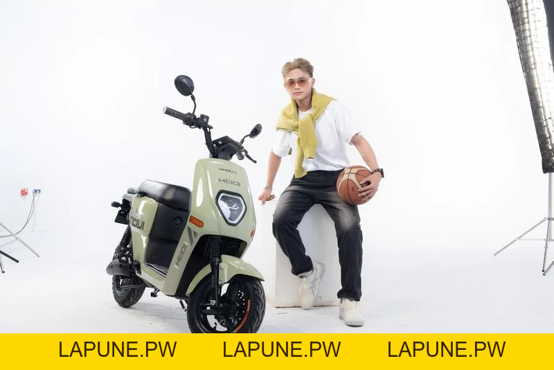 Xe Đạp Điện Osakar Heidi (Đầy Đủ Giấy Tờ) - Xe điện Vivu