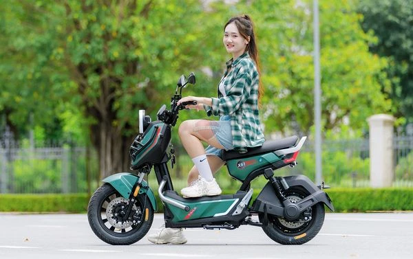 Xe Đạp Điện Tailg Discovery X51 (Đầy Đủ Giấy Tờ) - Xe điện Vivu