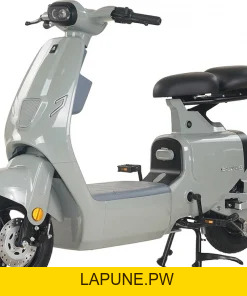 Xe Đạp Điện VC Elyas Ally - Đầy Đủ Giấy Tờ - Xe điện Vivu