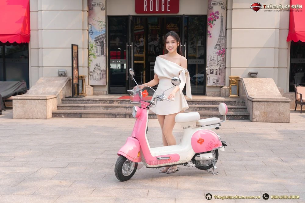 Xe Đạp Điện Tailg Princess JS50 (Đầy Đủ Giấy Tờ) - Xe điện Vivu