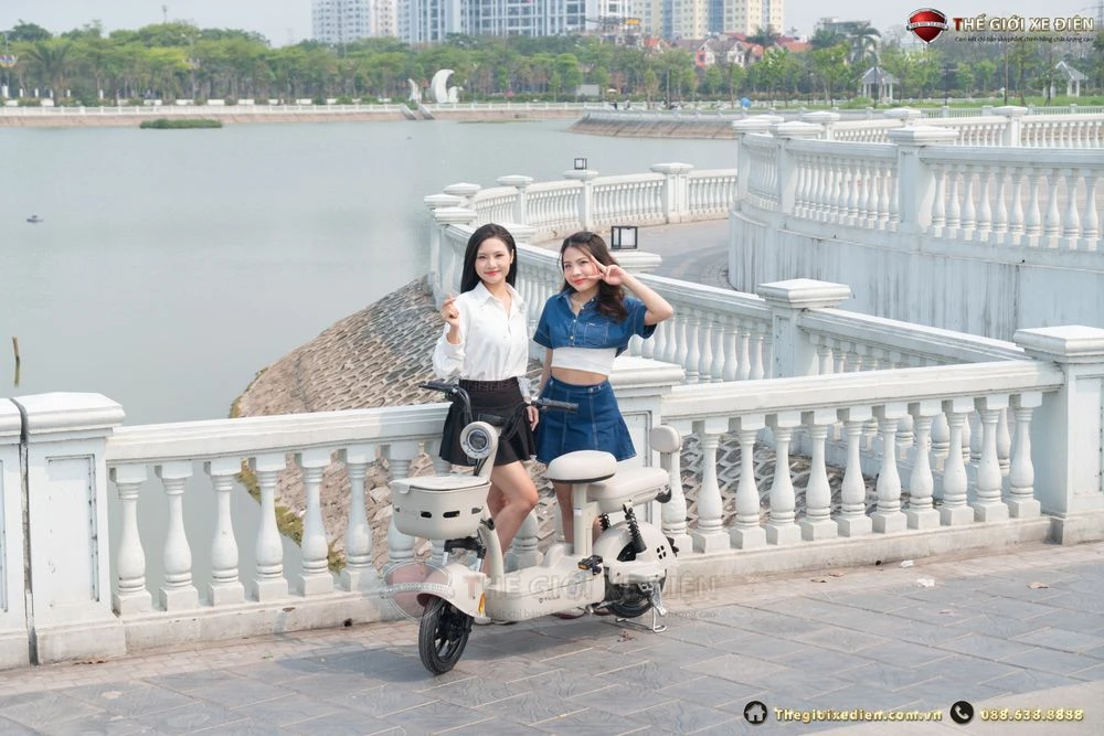 Xe Đạp Điện Tailg JY33 Mini Bike 4 ACQUY 13Ah 60km/1 lần sạc - Xe điện Vivu
