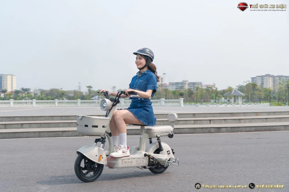 Xe Đạp Điện Tailg JY33 Mini Bike 4 ACQUY 13Ah 60km/1 lần sạc - Xe điện Vivu