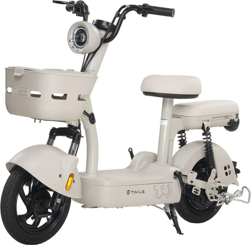 Xe Đạp Điện Tailg JY33 Mini Bike 4 ACQUY 13Ah 60km/1 lần sạc - Xe điện Vivu