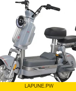 Xe đạp điện Tailg - Xe điện Vivu