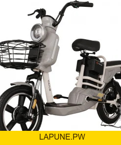 Xe đạp điện Tailg - Xe điện Vivu