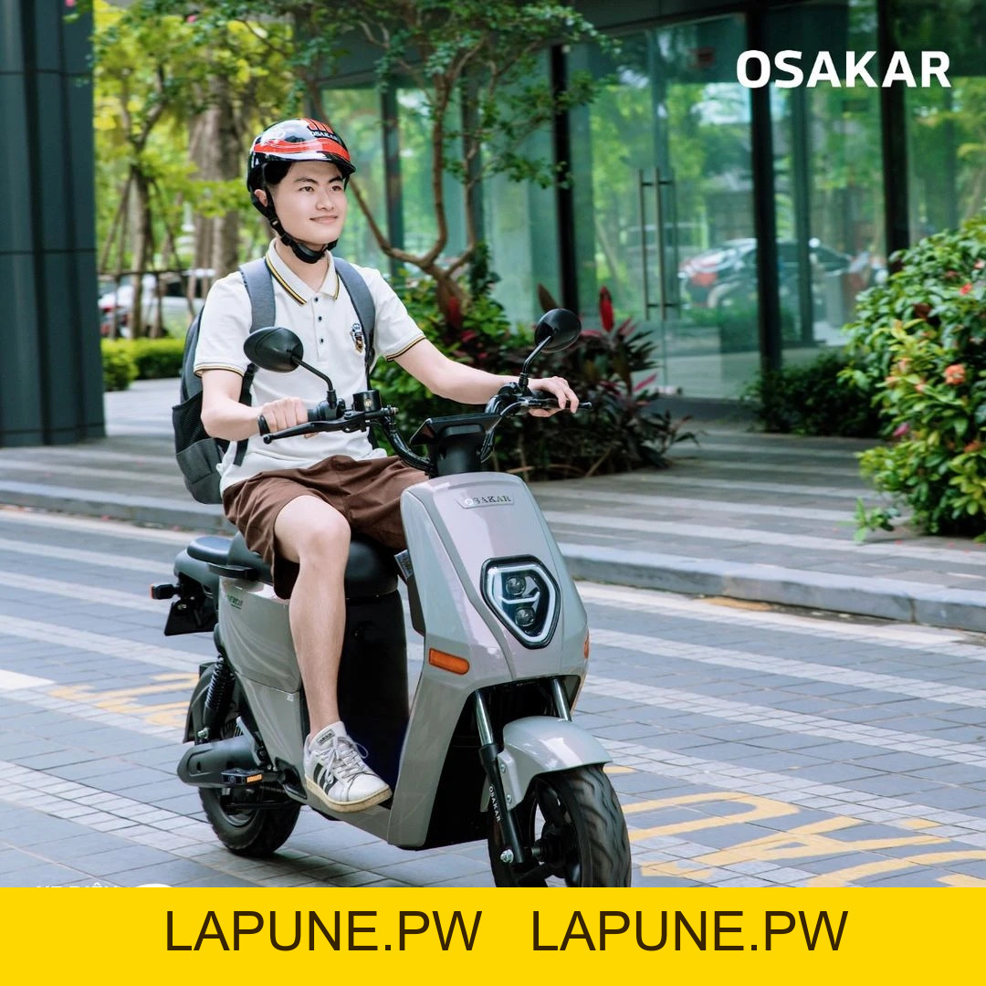 Xe Đạp Điện Osakar Heidi (Đầy Đủ Giấy Tờ) - Xe điện Vivu