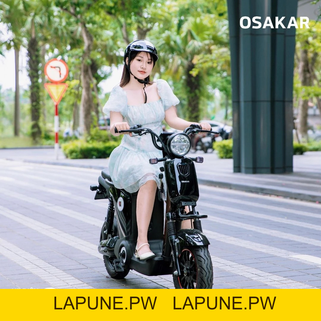 Xe Đạp Điện Osakar Mandi Đời Mới (Đầy Đủ Giấy Tờ) - Xe điện Vivu