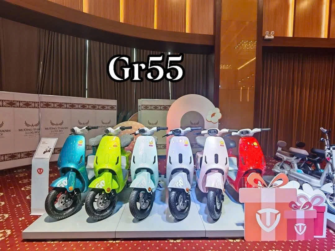 Xe Đạp Điện Tailg Hotgirl GR55 Đầy Đủ Giấy Tờ - Xe điện Vivu