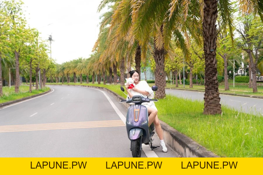 Xe Máy Điện Dibao Pansy Dio Đời Mới - Xe điện Vivu