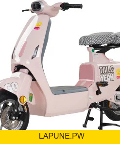 Xe đạp điện Tailg - Xe điện Vivu