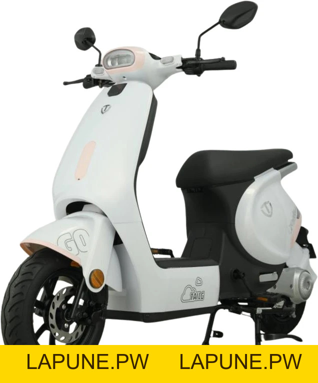 Xe đạp điện Tailg - Xe điện Vivu