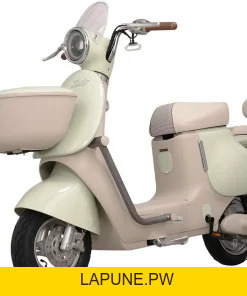 Xe đạp điện Tailg - Xe điện Vivu
