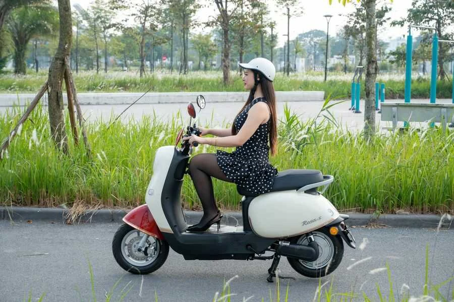 Xe Đạp Điện Dibao Rosa Thế Hệ Mới (Đầy Đủ Giấy Tờ) - Xe điện Vivu