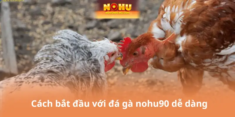 Đá Gà Nohu90 – Sảnh Cá Cược Hấp Dẫn Nhất Cho Tín Đồ Gà Chiến