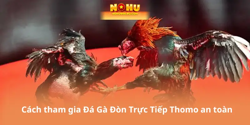 Đá Gà Đòn Trực Tiếp Thomo - Sân Chơi Uy Tín Hàng Đầu Đông Nam Á