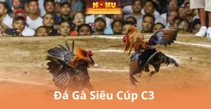 Đá Gà Nohu90 – Sảnh Cá Cược Hấp Dẫn Nhất Cho Tín Đồ Gà Chiến