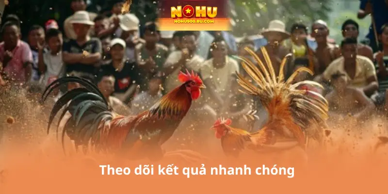 Đá Gà Siêu Cúp C3 – Trực Tiếp Những Pha Đấu Kinh Điển