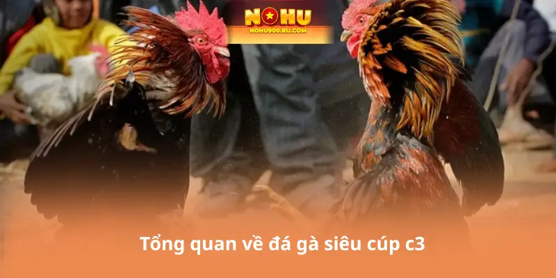 Đá Gà Siêu Cúp C3 – Trực Tiếp Những Pha Đấu Kinh Điển
