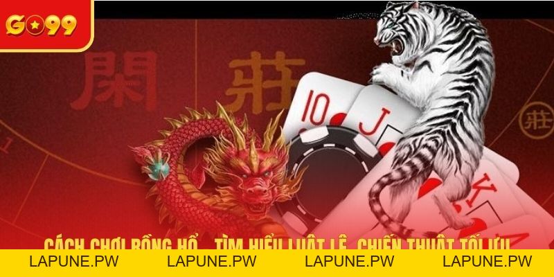 Cách Chơi Rồng Hổ - Tìm Hiểu Luật Lệ, Chiến Thuật Tối Ưu
