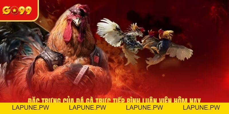 Trải Nghiệm Đá Gà Trực Tiếp Bình Luận Viên Hôm Nay Tại GO99
