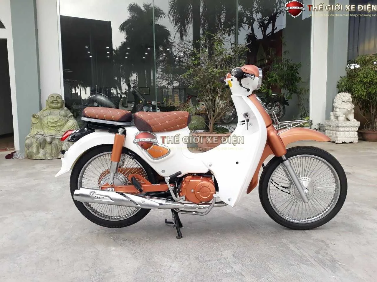 Xe Máy 50cc Cub New 50SE Vigor Ally Bản Đặc Biệt Giới Hạn - Xe điện Vivu