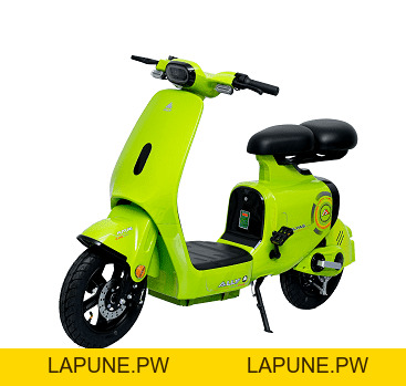 Xe Đạp Điện VC Elyas Ally - Đầy Đủ Giấy Tờ - Xe điện Vivu