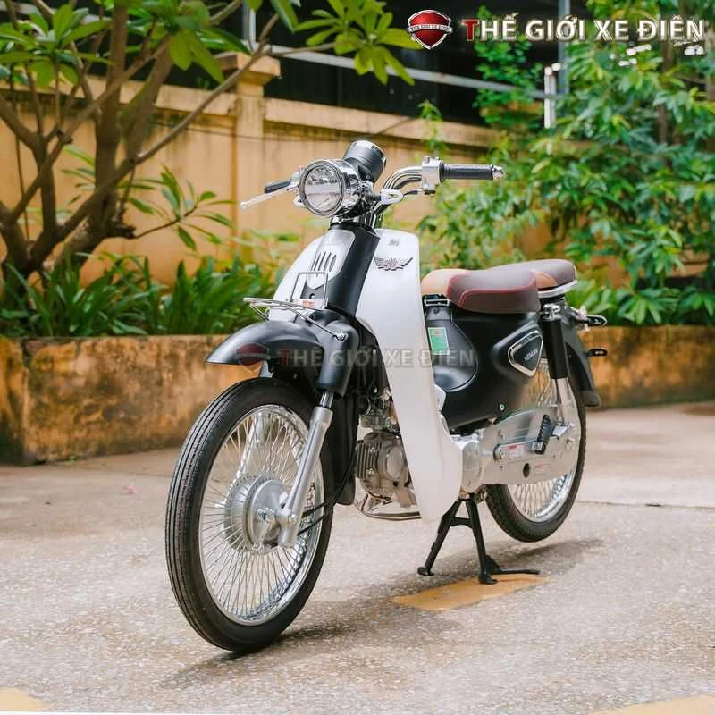 Xe Máy 50cc Cub New Vigor Ally - Xe điện Vivu