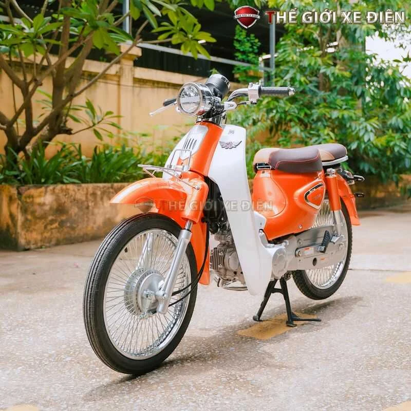 Xe Máy 50cc Cub New Vigor Ally - Xe điện Vivu