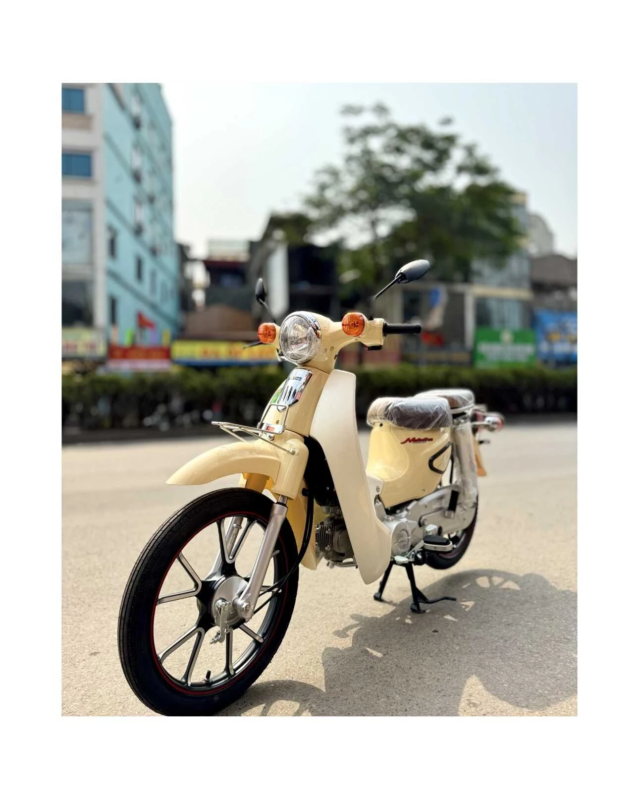 Xe Máy 50cc Cub Motor Thái Vành Đúc - Xe điện Vivu