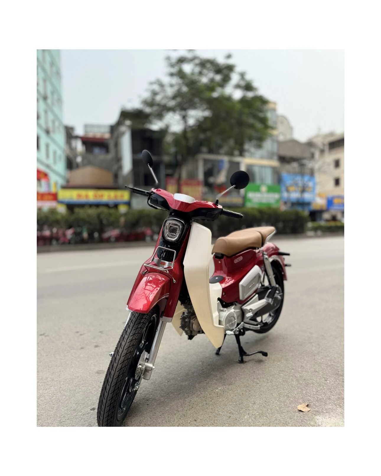 Xe Máy 50cc Cub Việt Thái Vành Đúc - Xe điện Vivu