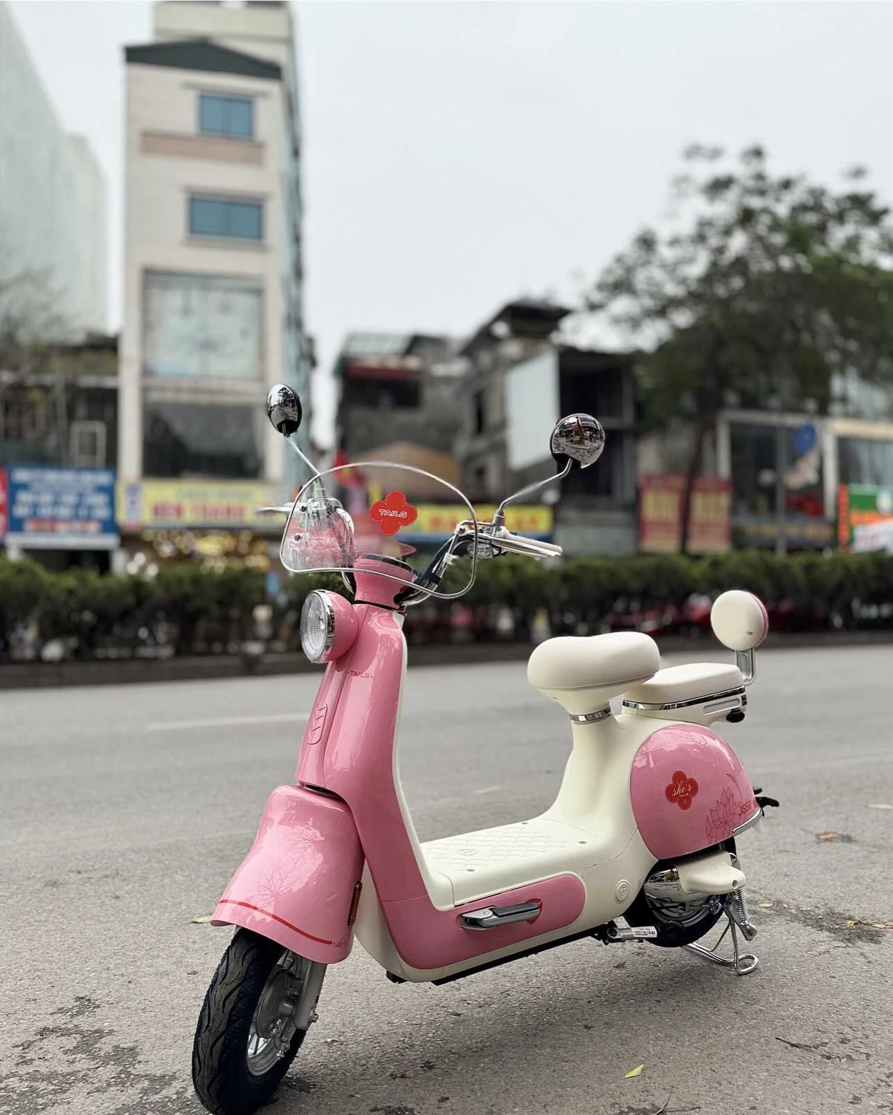 Xe Đạp Điện Tailg Princess JS50 (Đầy Đủ Giấy Tờ) - Xe điện Vivu