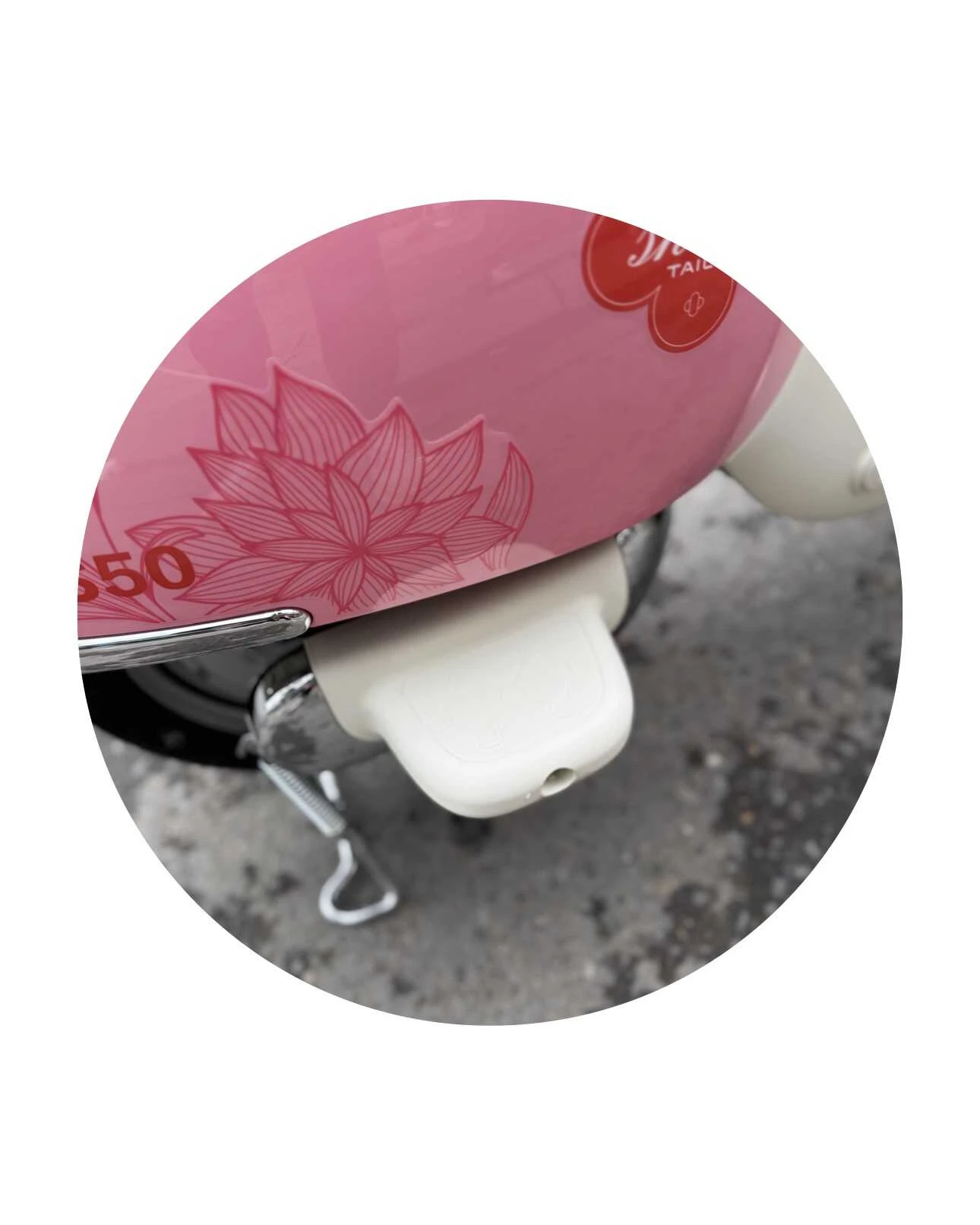 Xe Đạp Điện Tailg Princess JS50 (Đầy Đủ Giấy Tờ) - Xe điện Vivu