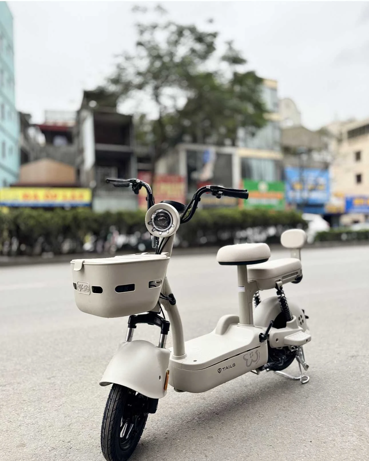 Xe Đạp Điện Tailg JY33 Mini Bike 4 ACQUY 13Ah 60km/1 lần sạc - Xe điện Vivu