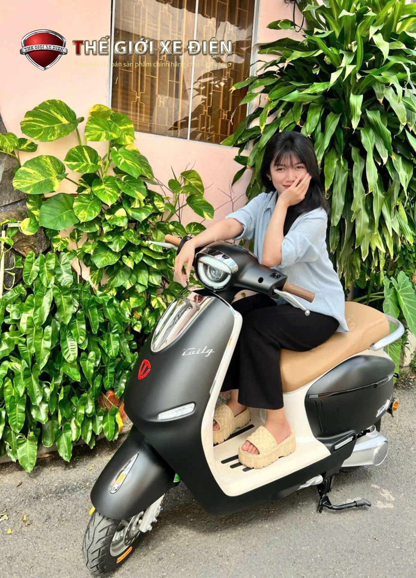 Xe Máy Điện Tailg Queen R71 - 6 Bình 23Ah 100Km/1 Lần Sạc - Xe điện Vivu