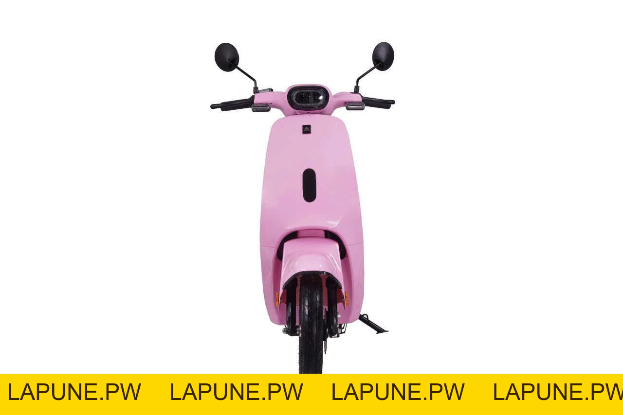 Xe Đạp Điện VC Elyas Ally - Đầy Đủ Giấy Tờ - Xe điện Vivu