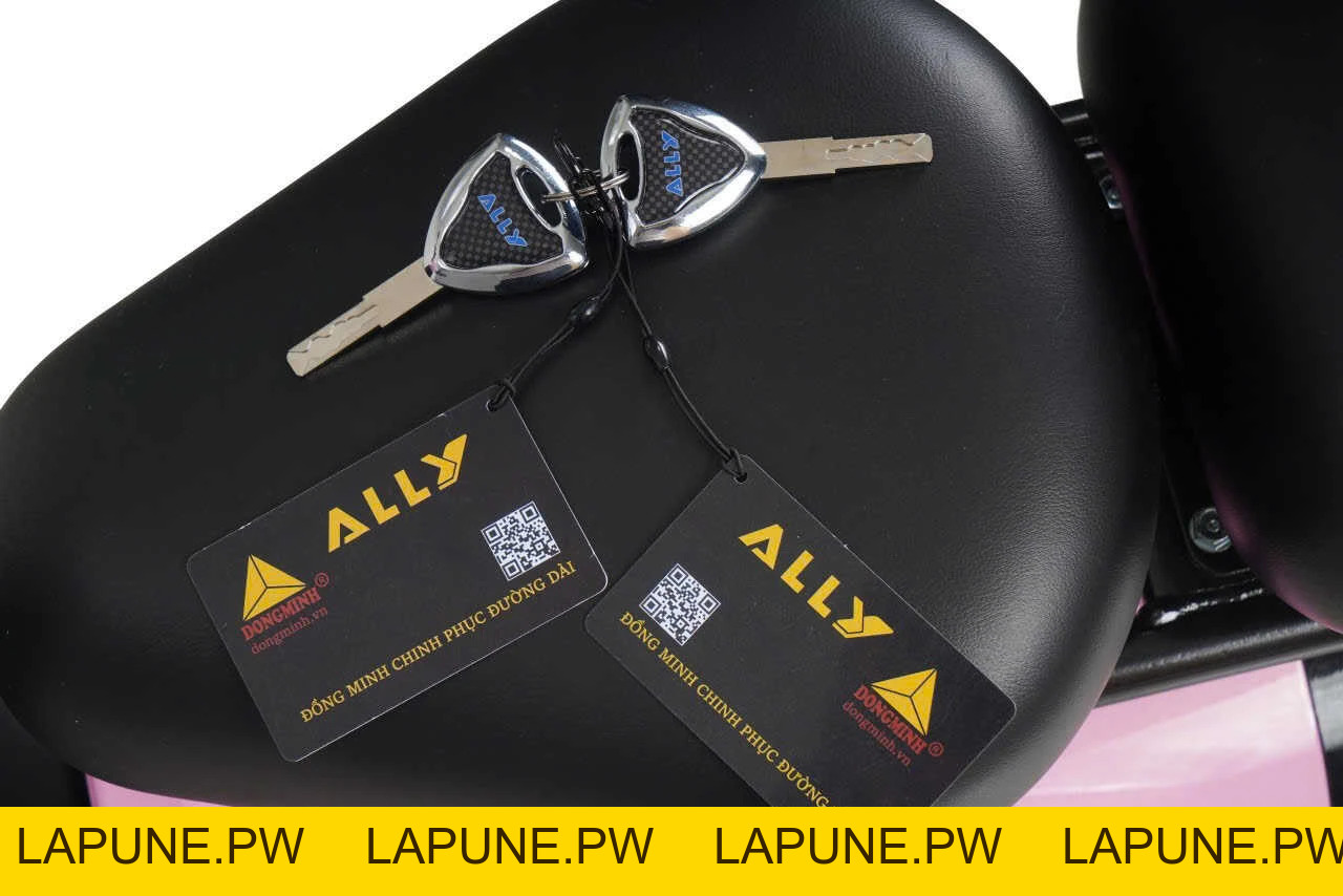 Xe Đạp Điện VC Elyas Ally - Đầy Đủ Giấy Tờ - Xe điện Vivu