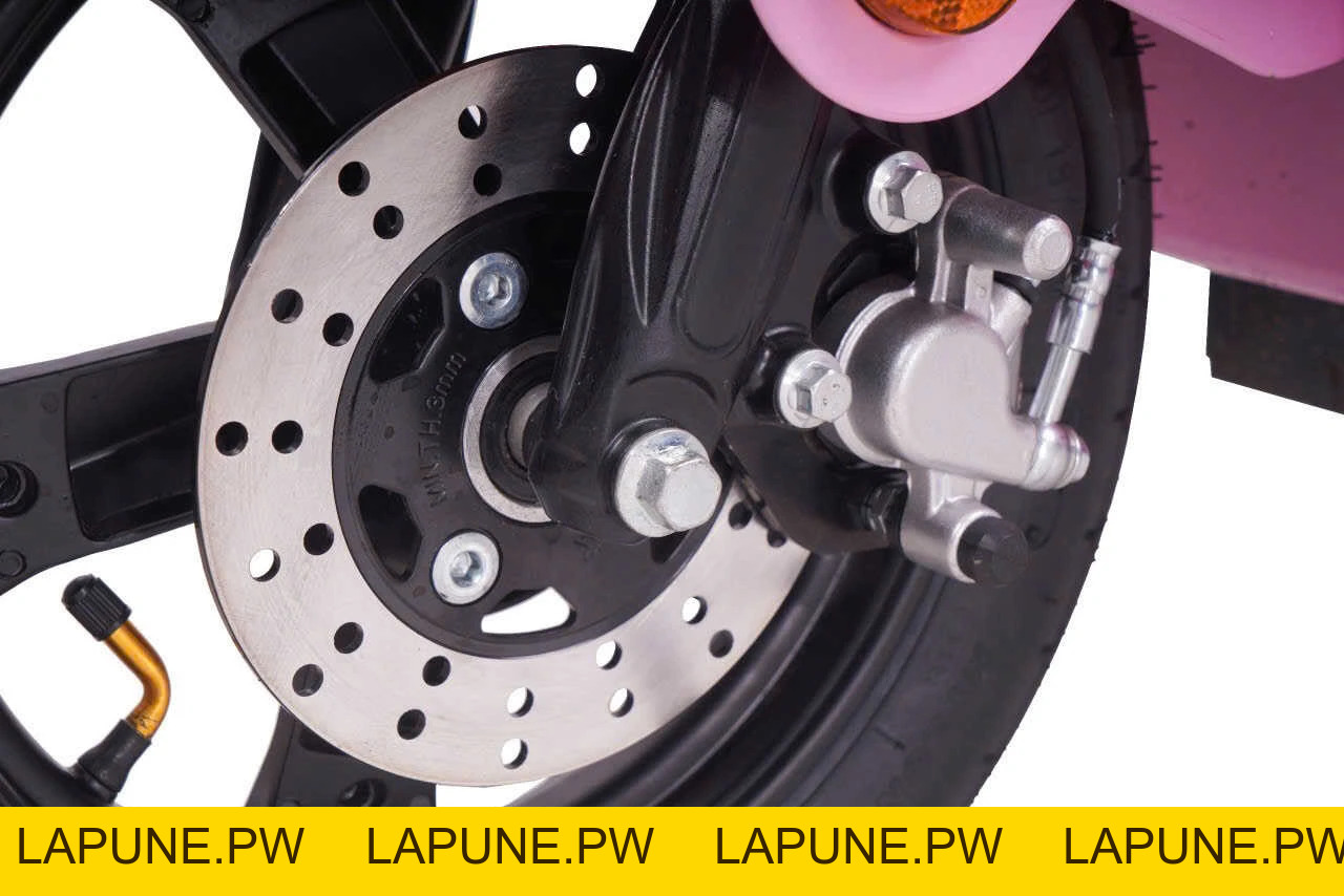 Xe Đạp Điện VC Elyas Ally - Đầy Đủ Giấy Tờ - Xe điện Vivu