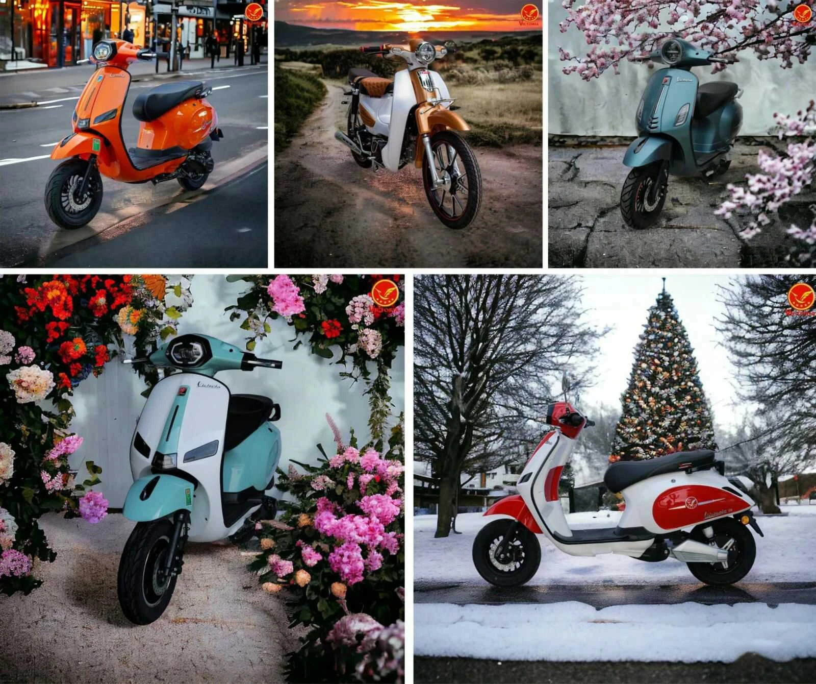 Xe ga 50cc Scooter Victoria Đèn Tròn - Xe điện Vivu