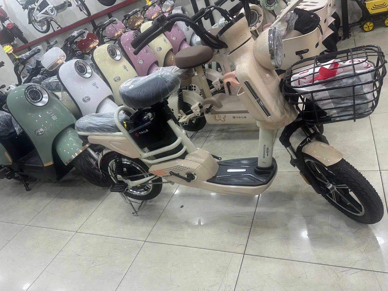 Xe Đạp Điện Tailg JY34 - Dùng 4 Bình 13Ah 60km/1 Lần Sạc - Xe điện Vivu