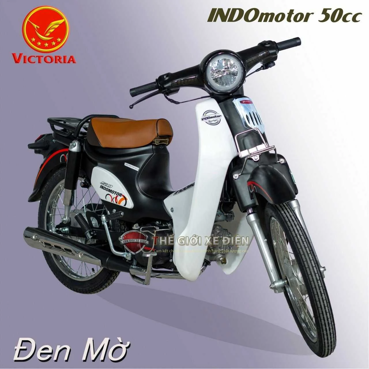 Xe Máy 50cc Cub Indo Victoria - Xe điện Vivu