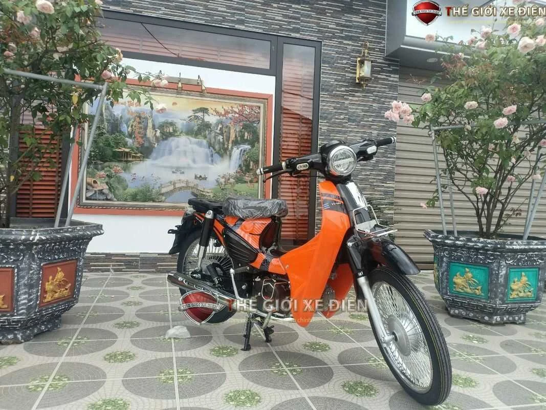 Xe Máy 50cc Cub 89 Victoria Đời Mới - Xe điện Vivu