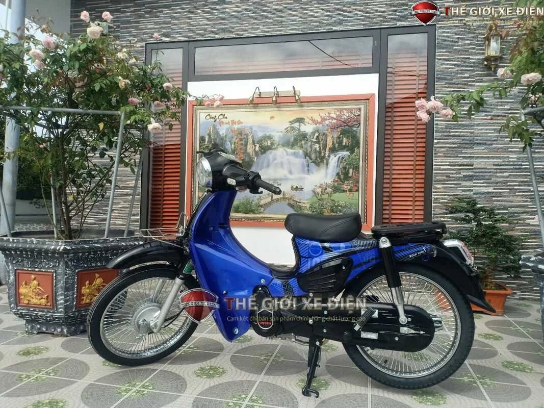 Xe Máy 50cc Cub 89 Victoria Đời Mới - Xe điện Vivu